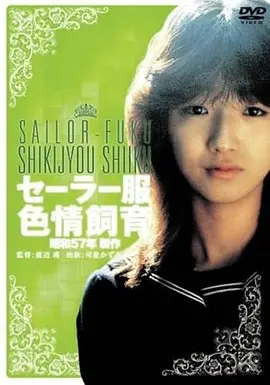 纸月亮家庭剧情电影海报